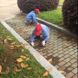 你就是這座城市的模樣