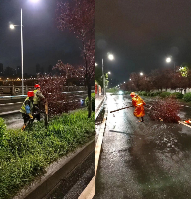 第一現場|疾風暴雨中的“南濱速度”