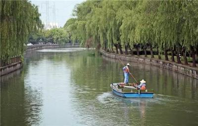 松江:城區河道試點推廣新型保潔船