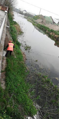 江蘇海安來南村:生態環境好 百姓幸福多
