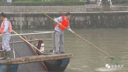 《我在奉賢的這五年》石志剛:水清岸綠 愿望在慢慢實現