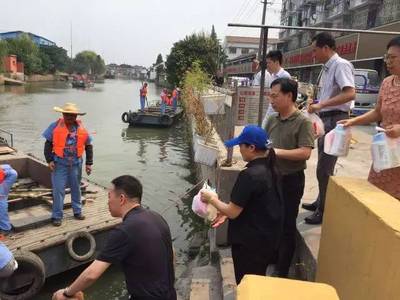 市綠化市容局水管處領導慰問青浦區一線河道保潔員_社會_網