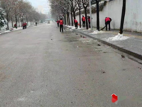 秦州區(qū)執(zhí)法局成紀(jì)新城中隊(duì)清理路面積雪