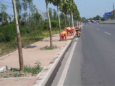 曹范街道--深入推進城鎮提升,助力幸福宜居家園建設