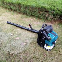 【學校操場背負式大功率吹葉機哪里有賣 手提式吹吸兩用吹塵機富興牌】價格_廠家 - 中國供應商