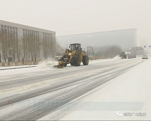 前天朝陽下大雪,凌晨3點有人拍下這一幕,讓人淚目...