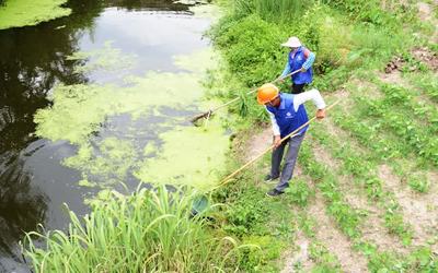 通州興仁長(zhǎng)林橋村:網(wǎng)格員一線顯擔(dān)當(dāng) 民心綻放文明花