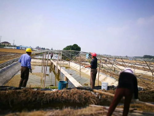 打好環(huán)境提升 組合拳 ,讓我們一起尋找心底的那片 鄉(xiāng)愁