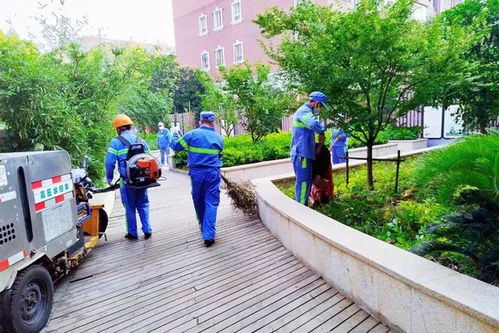 道路清掃保潔 公共環境消殺 他們在行動