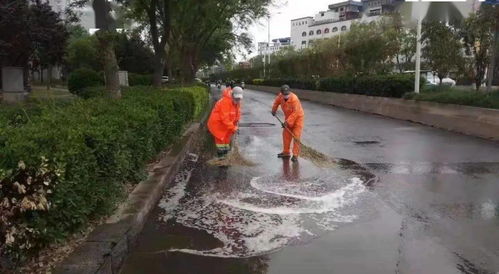 管理 橋西環(huán)衛(wèi)雨后迅速行動清潔道路 長效機制保障城市衛(wèi)生