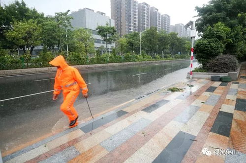 臺(tái)風(fēng)過(guò)后 山竹走了 他們還在