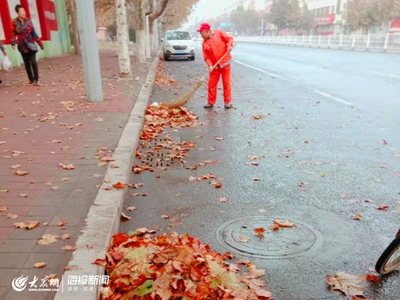 一天清掃落葉近10噸 膠州環衛工人迎來道路保潔“最忙季”