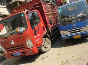 圖 優質商家 小區樹枝清理 道路樹枝清理 砍樹 成都鮮花綠植
