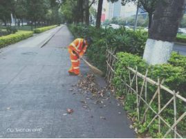 開展“提質專項行動” 提升道路清掃保潔 精細化管理水平