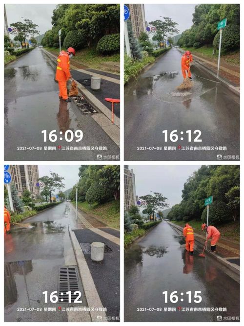 仙林街道開展雨后道路清理工作