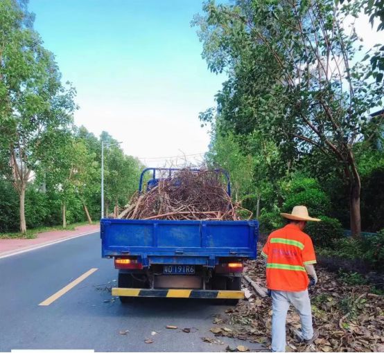 僑銀股份助力茂名推進“百千萬工程”,建設宜居宜業和美鄉村