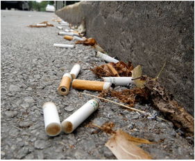 環衛保潔機械化,看背街小巷如何顏值飆升