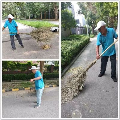 MOMΛ萬(wàn)萬(wàn)樹服務(wù)中心第32周工作匯報(bào)