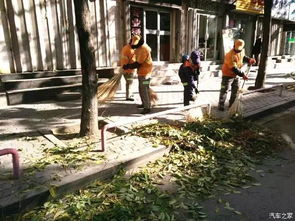 【有關(guān)落葉對(duì)汽車的危害 你知道多少_深圳南山保時(shí)捷中心新聞資訊】-汽車之家