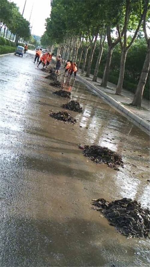 開發區組織開展道路清掃清洗