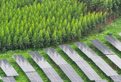 強勢“超車”!通威組件2023年全球出貨量躍居前五!