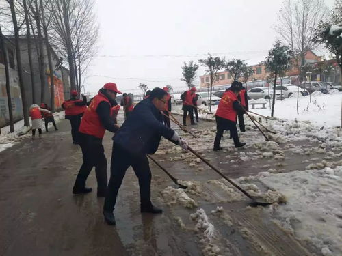 清理道路積雪 保障交通安全
