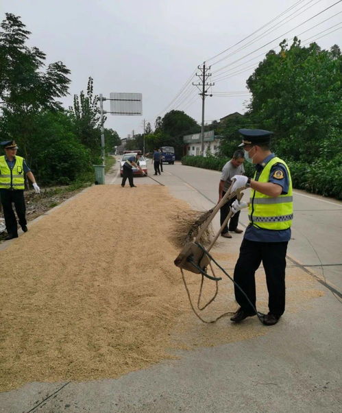 清理打場(chǎng)曬糧 減負(fù)道路交通