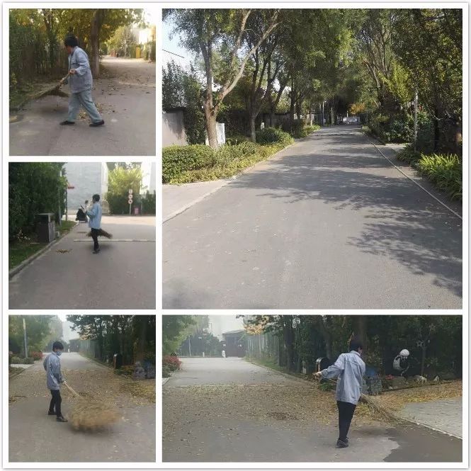 MOMΛ萬萬樹服務中心第43周工作匯報