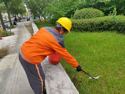 點贊!為了道路整潔,他們天剛亮就開始忙碌