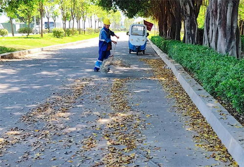 金順環境 凈 行動 織密城市清潔網,共繪文明新畫卷