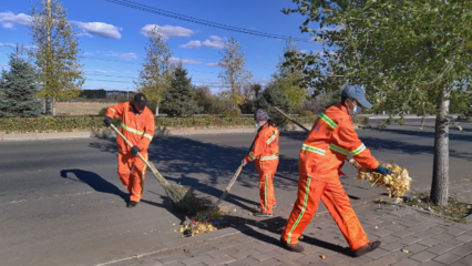 秋葉落秋菜來 環衛“大掃除”