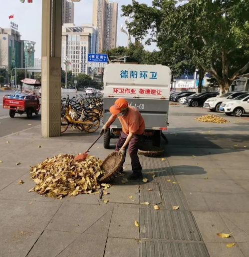 城管進行時丨落葉隨風飄,環衛作業忙