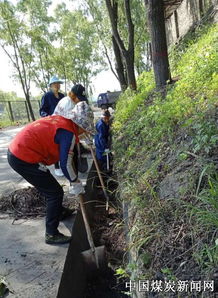 銅川華遠(yuǎn)實(shí)業(yè)下石節(jié)社區(qū)自發(fā)組織清理道路水溝 保障人車(chē)出行安全