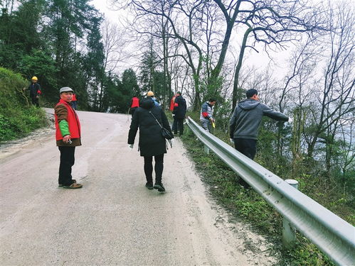 志愿服務暖人心 芋荷村志愿者合力清理道路垃圾