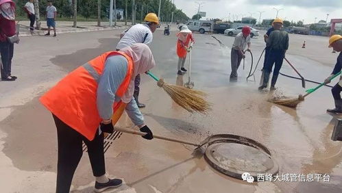 區環衛局防塵治污在行動 道路沖洗與垃圾清運全面啟動