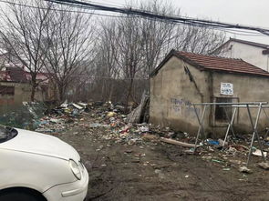 順河路垃圾成堆無人管，河道保潔責任何在？